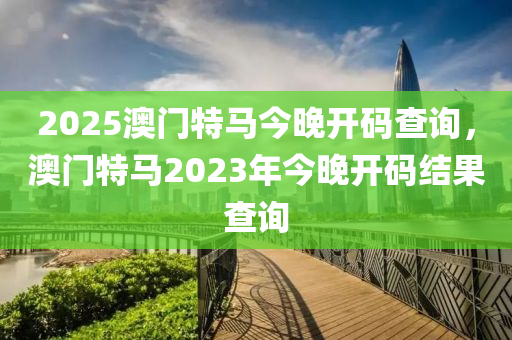 2025澳门特马今晚开码查询，澳门特马2023年今晚开码结果查询