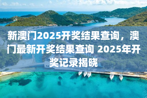 新澳门2025开奖结果查询，澳门最新开奖结果查询 2025年开奖记录揭晓