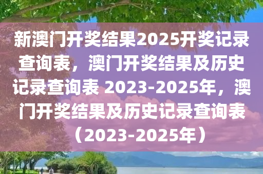 新澳门开奖结果2025开奖记录查询表，澳门开奖结果及历史记录查询表 2023-2025年，澳门开奖结果及历史记录查询表（2023-2025年）