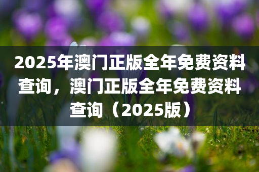 2025年澳门正版全年免费资料查询，澳门正版全年免费资料查询（2025版）