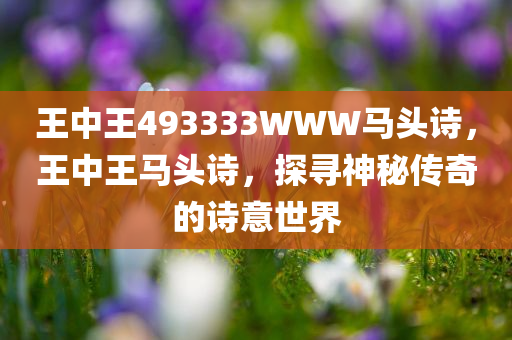 王中王493333WWW马头诗，王中王马头诗，探寻神秘传奇的诗意世界