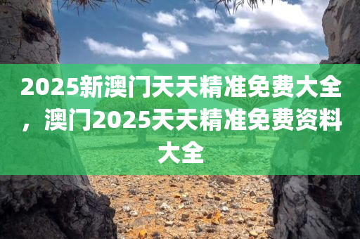 2025新澳门天天精准免费大全，澳门2025天天精准免费资料大全