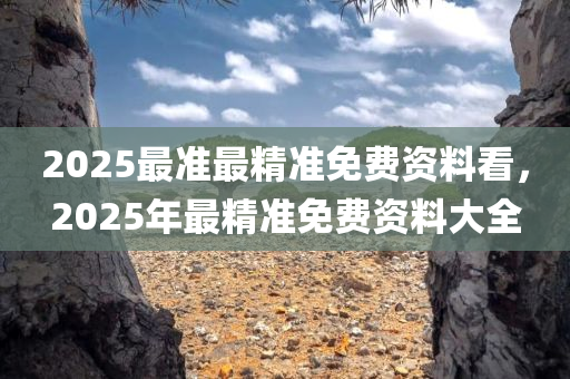 2025最准最精准免费资料看，2025年最精准免费资料大全