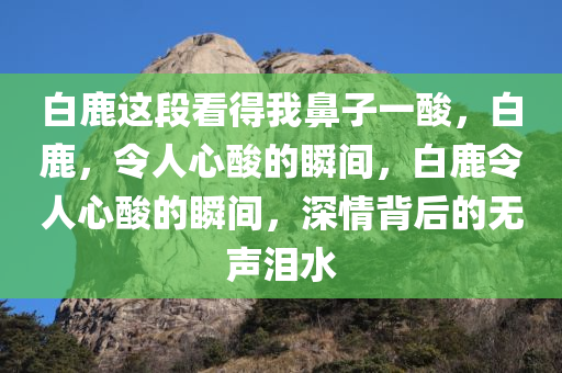 白鹿这段看得我鼻子一酸，白鹿，令人心酸的瞬间，白鹿令人心酸的瞬间，深情背后的无声泪水