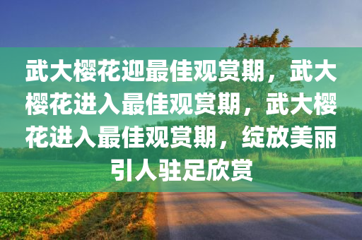 武大樱花迎最佳观赏期，武大樱花进入最佳观赏期，武大樱花进入最佳观赏期，绽放美丽引人驻足欣赏