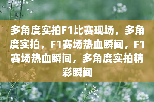 多角度实拍F1比赛现场