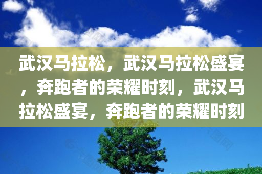 武汉马拉松，武汉马拉松盛宴，奔跑者的荣耀时刻，武汉马拉松盛宴，奔跑者的荣耀时刻