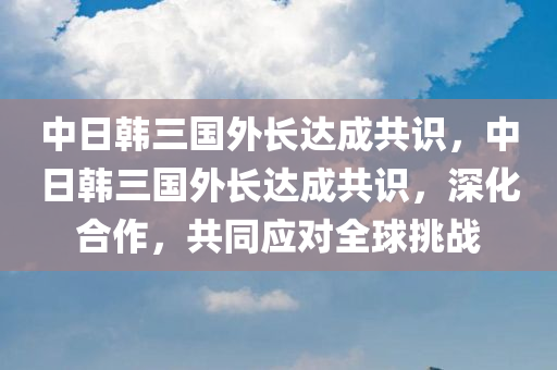 中日韩三国外长达成共识，中日韩三国外长达成共识，深化合作，共同应对全球挑战