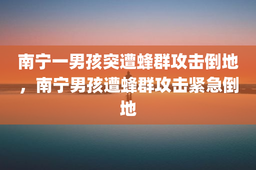 南宁一男孩突遭蜂群攻击倒地，南宁男孩遭蜂群攻击紧急倒地