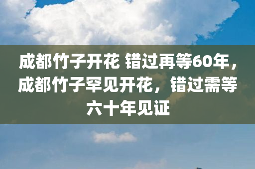 成都竹子开花 错过再等60年，成都竹子罕见开花，错过需等六十年见证