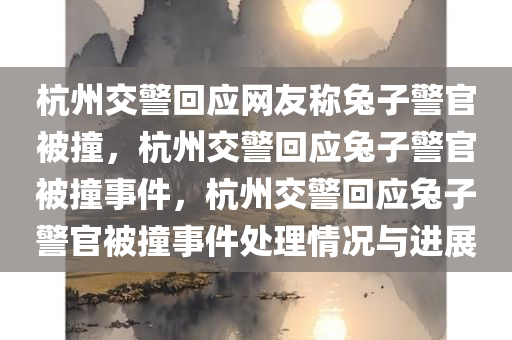 杭州交警回应网友称兔子警官被撞，杭州交警回应兔子警官被撞事件，杭州交警回应兔子警官被撞事件处理情况与进展