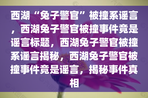 西湖“兔子警官”被撞系谣言，西湖兔子警官被撞事件竟是谣言标题，西湖兔子警官被撞系谣言揭秘，西湖兔子警官被撞事件竟是谣言，揭秘事件真相