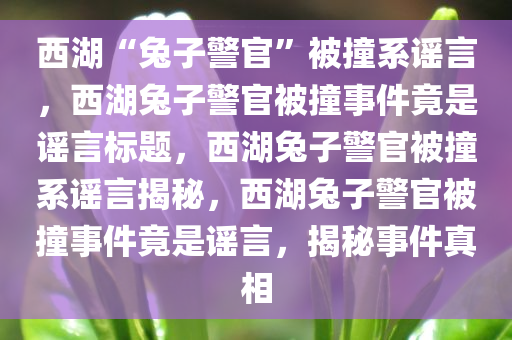 西湖“兔子警官”被撞系谣言，西湖兔子警官被撞事件竟是谣言标题，西湖兔子警官被撞系谣言揭秘，西湖兔子警官被撞事件竟是谣言，揭秘事件真相