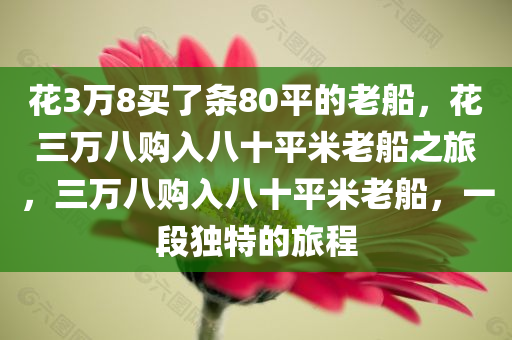 花3万8买了条80平的老船，花三万八购入八十平米老船之旅，三万八购入八十平米老船，一段独特的旅程