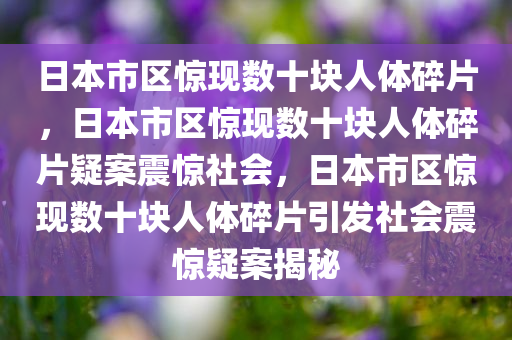 日本市区惊现数十块人体碎片，日本市区惊现数十块人体碎片疑案震惊社会，日本市区惊现数十块人体碎片引发社会震惊疑案揭秘