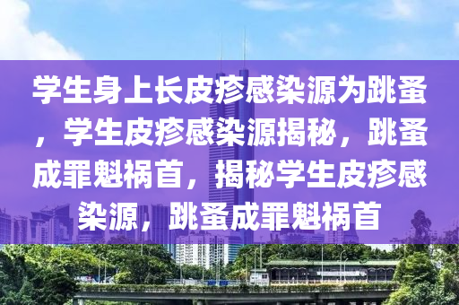 学生身上长皮疹感染源为跳蚤，学生皮疹感染源揭秘，跳蚤成罪魁祸首，揭秘学生皮疹感染源，跳蚤成罪魁祸首