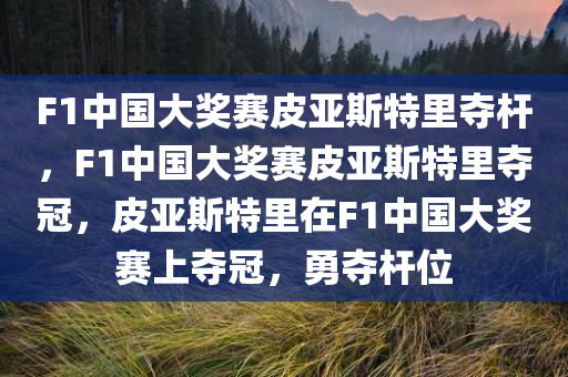 F1中国大奖赛皮亚斯特里夺杆，F(xiàn)1中国大奖赛皮亚斯特里夺冠