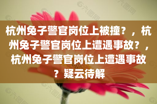 杭州兔子警官岗位上被撞？，杭州兔子警官岗位上遭遇事故？，杭州兔子警官岗位上遭遇事故？疑云待解