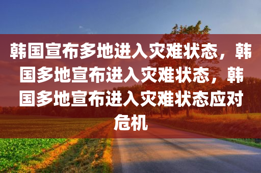 韩国宣布多地进入灾难状态，韩国多地宣布进入灾难状态，韩国多地宣布进入灾难状态应对危机