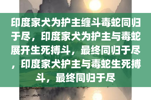 印度家犬为护主缠斗毒蛇同归于尽，印度家犬为护主与毒蛇展开生死搏斗，最终同归于尽，印度家犬护主与毒蛇生死搏斗，最终同归于尽