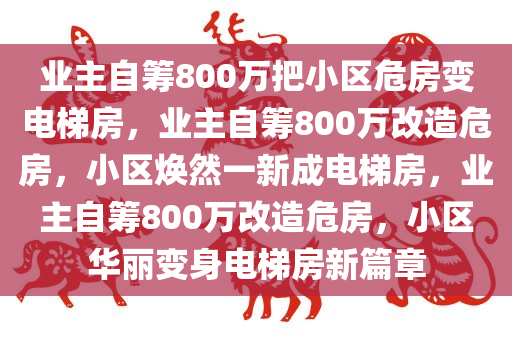 业主自筹800万把小区危房变电梯房，业主自筹800万改造危房，小区焕然一新成电梯房，业主自筹800万改造危房，小区华丽变身电梯房新篇章