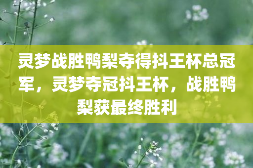 灵梦战胜鸭梨夺得抖王杯总冠军，灵梦夺冠抖王杯，战胜鸭梨获最终胜利