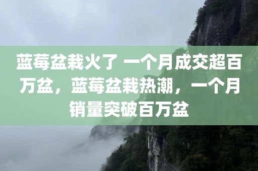 蓝莓盆栽火了 一个月成交超百万盆，蓝莓盆栽热潮，一个月销量突破百万盆