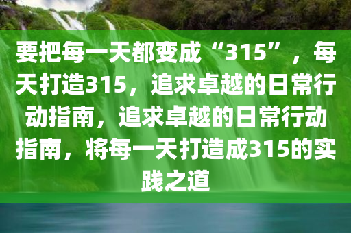 要把每一天都变成“315”，每天打造315，追求卓越的日常行动指南，追求卓越的日常行动指南，将每一天打造成315的实践之道