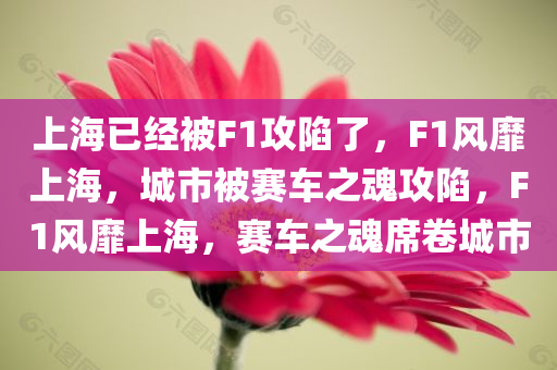 上海已经被F1攻陷了，F(xiàn)1风靡上海，城市被赛车之魂攻陷，F(xiàn)1风靡上海，赛车之魂席卷城市