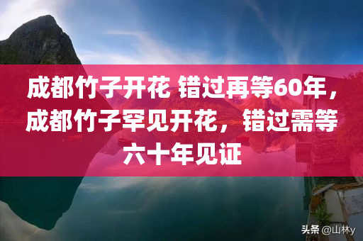 成都竹子开花 错过再等60年，成都竹子罕见开花，错过需等六十年见证