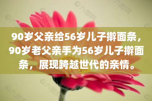 90岁父亲给56岁儿子擀面条，90岁老父亲手为56岁儿子擀面条，展现跨越世代的亲情。