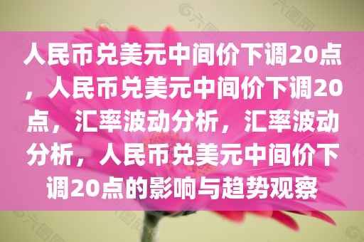 人民币兑美元中间价下调20点，人民币兑美元中间价下调20点，汇率波动分析