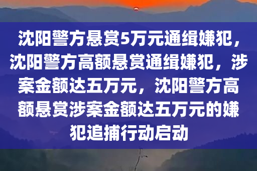 沈阳警方悬赏5万元通缉嫌犯，沈阳警方高额悬赏通缉嫌犯，涉案金额达五万元，沈阳警方高额悬赏涉案金额达五万元的嫌犯追捕行动启动