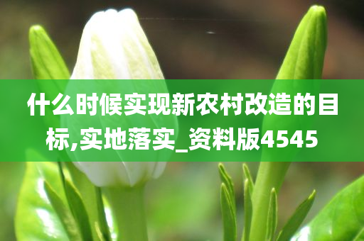 什么时候实现新农村改造的目标,实地落实_资料版4545