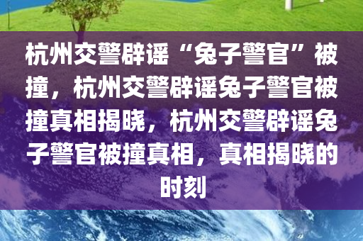 杭州交警辟谣“兔子警官”被撞，杭州交警辟谣兔子警官被撞真相揭晓，杭州交警辟谣兔子警官被撞真相，真相揭晓的时刻