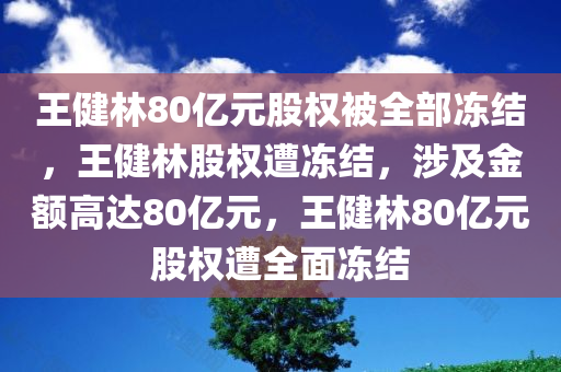 王健林80亿元股权被全部冻结，王健林股权遭冻结，涉及金额高达80亿元，王健林80亿元股权遭全面冻结