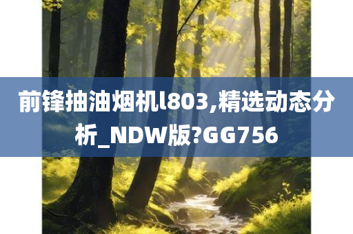 前锋抽油烟机l803,精选动态分析_NDW版?GG756