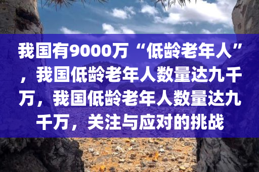 我国有9000万“低龄老年人”，我国低龄老年人数量达九千万，我国低龄老年人数量达九千万，关注与应对的挑战