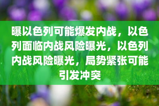 曝以色列可能爆发内战，以色列面临内战风险曝光，以色列内战风险曝光，局势紧张可能引发冲突