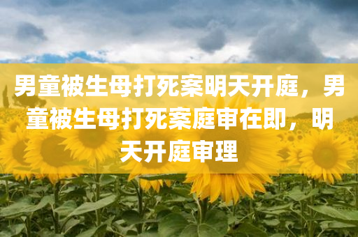 男童被生母打死案明天开庭，男童被生母打死案庭审在即，明天开庭审理