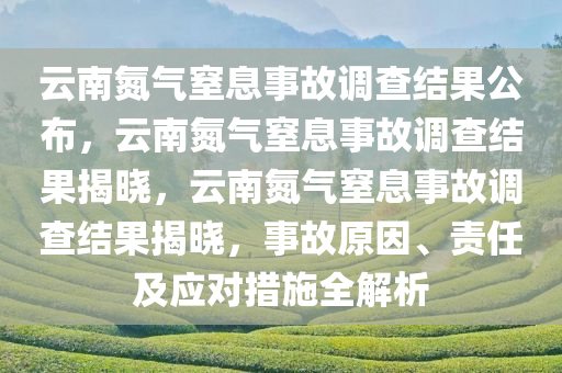 云南氮气窒息事故调查结果公布，云南氮气窒息事故调查结果揭晓，云南氮气窒息事故调查结果揭晓，事故原因、责任及应对措施全解析