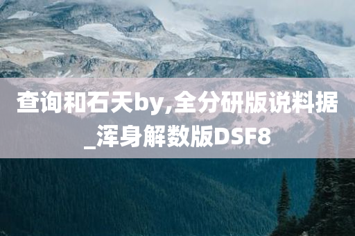 查询和石天by,全分研版说料据_浑身解数版DSF8