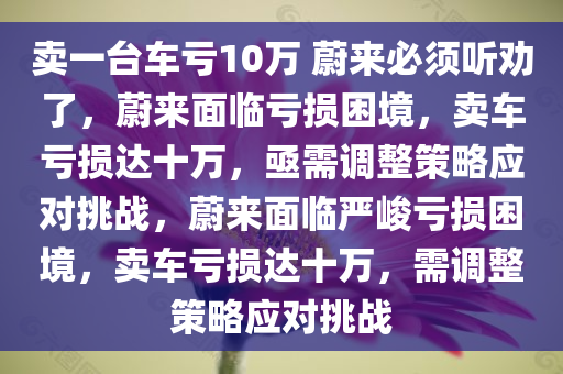 卖一台车亏10万 蔚来必须听劝了，蔚来面临亏损困境，卖车亏损达十万，亟需调整策略应对挑战，蔚来面临严峻亏损困境，卖车亏损达十万，需调整策略应对挑战