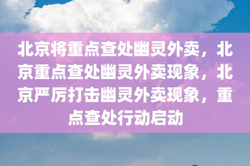 北京将重点查处幽灵外卖，北京重点查处幽灵外卖现象，北京严厉打击幽灵外卖现象，重点查处行动启动