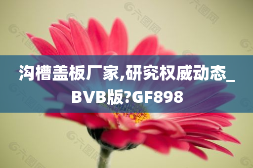 沟槽盖板厂家,研究权威动态_BVB版?GF898