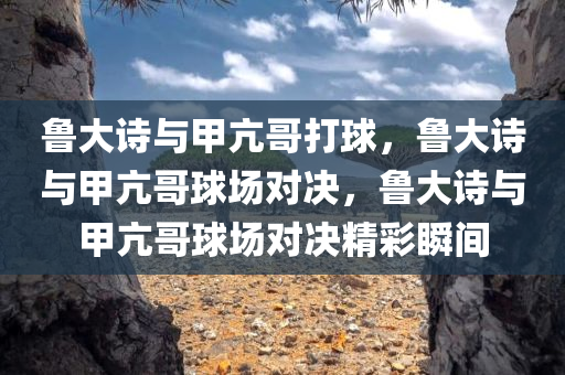 鲁大诗与甲亢哥打球，鲁大诗与甲亢哥球场对决，鲁大诗与甲亢哥球场对决精彩瞬间