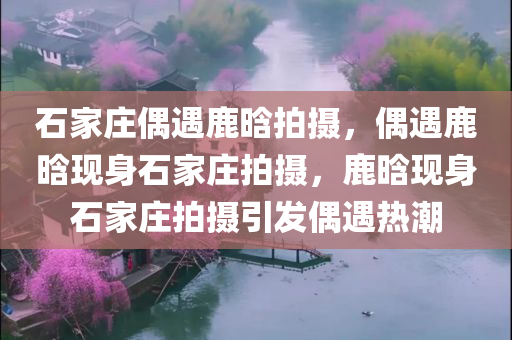 石家庄偶遇鹿晗拍摄，偶遇鹿晗现身石家庄拍摄，鹿晗现身石家庄拍摄引发偶遇热潮