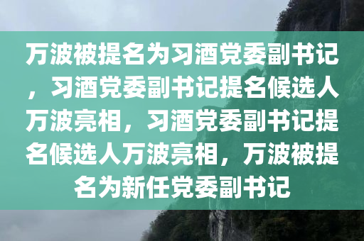 万波被提名为习酒党委副书记，习酒党委副书记提名候选人万波亮相，习酒党委副书记提名候选人万波亮相，万波被提名为新任党委副书记