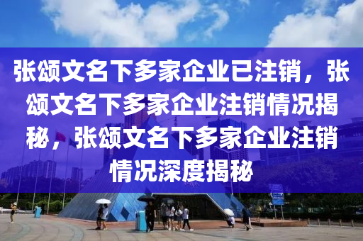 张颂文名下多家企业已注销，张颂文名下多家企业注销情况揭秘，张颂文名下多家企业注销情况深度揭秘