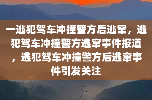 一逃犯驾车冲撞警方后逃窜，逃犯驾车冲撞警方逃窜事件报道，逃犯驾车冲撞警方后逃窜事件引发关注